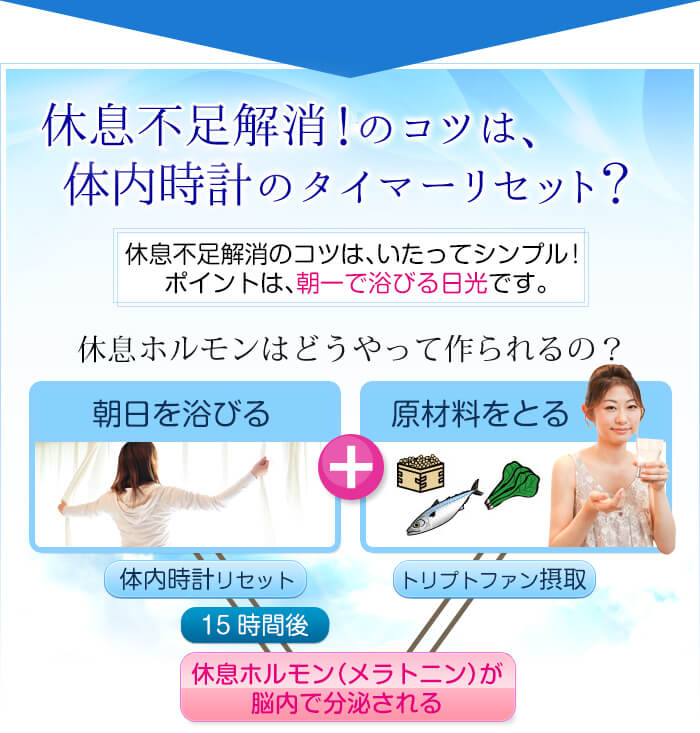 不眠解消のコツは体内時計のタイマーリセット