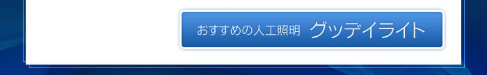 グッデイライト